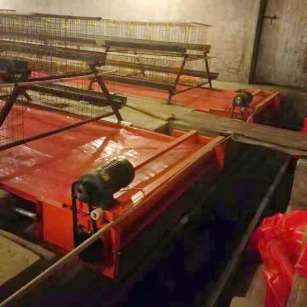 PVC帶蛋雞清糞機(jī)